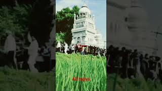 all tajiya masiya chandapur tajiya Allhabad#ternding #varal #tajiya #masiya #allhabad #shortsvideo