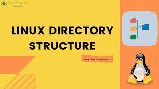 linux Directory Structure Tutorial Linux Must See!