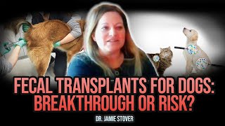 Dr. Jamie Stover: Integrative Vet Medicine for Pets — Does Going Natural Work? | Gussy’s Gut