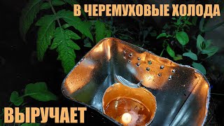 Как спасти  рассаду в возвратные заморозки огороднику выходного дня?