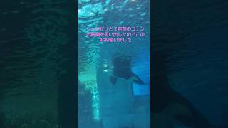 ＃名古屋水族館！どのエリアも綺麗だけどこのエリアは思い出がいっぱいあります！