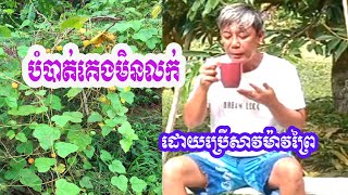 បំបាត់គេងមិនលក់ ដោយប្រើសាវម៉ាវព្រៃ