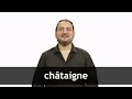 How to pronounce CHÂTAIGNE in French