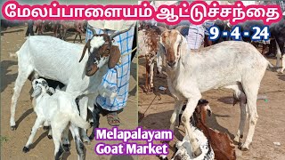 9 - 4 - 2024 | மேலப்பாளையம் ஆட்டுச்சந்தை | Melapalayam Goat Market | @kalnadai tholan | Goat Market