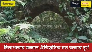 চিলাপাতার জঙ্গলে লুকিয়ে আছে ঐতিহাসিক নল রাজার দুর্গ, জানুন সেই কাহিনী