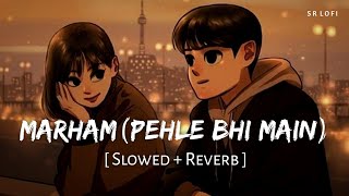 Marham Pehle Bhi Main (Slowed + Reverb) | Vishal Mishra | Animal | SR Lofi