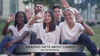 ऊँट का अद्भुत सच  /AMAZING FACTS ABOUT CAMELS