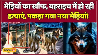 Wolf in Bahraich: बहराइच में भेड़ियों का आतंक, 7 लोगों की मौत, जानें नया Update #local18