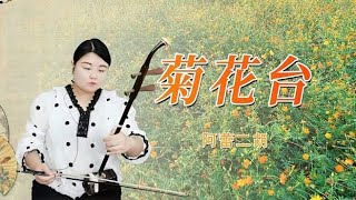 二胡演奏《菊花台》经典周杰伦老歌，二胡演奏完全不一样的味道！