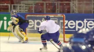 Robert Dowd Highlights - Troja/Ljungby 2012/2013