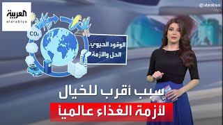 الساعة 60 | سبب أغرب من الخيال وراء أزمة الغذاء في العالم