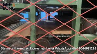 Geelong steam  or thermal oil face veneer mesh dryer machine