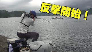 場所移動したら良型チヌ連発！！black sea bream fishing