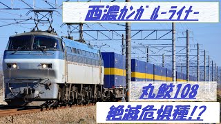 【通過シーン】2021/1/31,EF66 108,2059レ