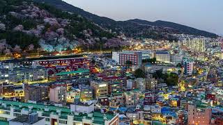 4K 타임랩스 부산 _ 봄. 벚꽃 가득한 산복도로마을의 밤. Spring. Cherry blossoms  Sanbokdoro Village. Busan. Korea