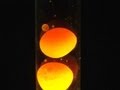 How To Make a Simple Lava Lamp At Home How To Make a Simple Lava Lamp At Home