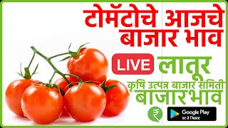 टोमॅटो बाजार भाव लातूर आजचे टोमॅटो बाजारभाव लातूर  Latur Tomato Bajar bhav Today