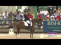 Moritz Treffinger (GER) with Top Queen H -  Winning Dressage Test