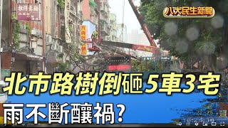 雨不斷釀禍? 北市路樹倒砸5車3宅 |【民生八方事】| 2022060705 @gtvnews27