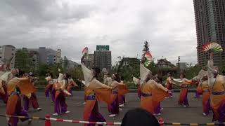 よさこい連「わ」　こいや祭り2018 ＵＭＥＤＡＩガーデン会場