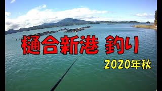 樋合新港釣り2020年秋