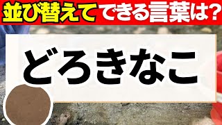 【５文字ひらがな並び替えクイズ】大人高齢者におすすめ！ルールがわかりやすいひらがなパズルゲーム問題で気軽に脳トレ！人気のスッキリ問題で脳を活性化♪#45