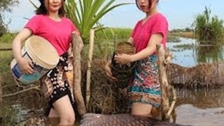 Amazing Cambodia Women Lady Traditional Fishing How to Catch Fish Water Snake Simple Net Fishing