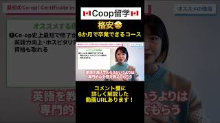 【格安】6ヶ月で卒業できるCoop留学プラン！ #Shorts