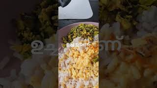 #naadanfood #നാടൻ ഊണ് #youtubeshorts #food #keralafoodisthebest #പുളിശേരി