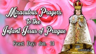 Miraculous Prayers to the Infant Jesus of Prague