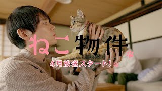 ドラマ『ねこ物件』SPダイジェスト【2022年4月放送スタート】