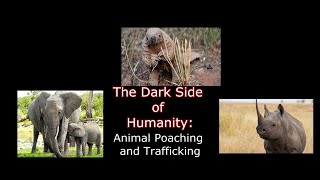 The Dark Side of Humanity l Episode 2: Animal Poaching and Trafficking