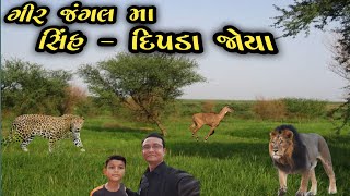 ગીર જંગલ મા સિંહ દિપડા જોયા || Gir national park vlog || nature education camp gir ||