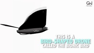 Bionic Bird | GineersNow