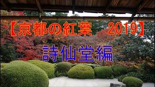 【京都の紅葉2019】詩仙堂編　Kyoto、Shisendo、Autumn leaves