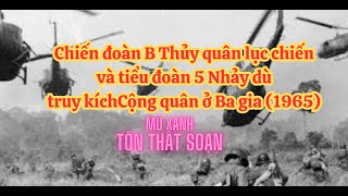 Chiến đoàn B Thủy quân lục chiến và Tiểu đoàn 5 Dù truy kích Cộng quân ở Ba gia 1965