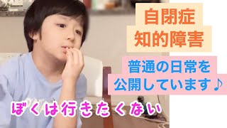 【自閉症×知的障害】ポテチはくれるの？くれないの？／特別支援学校の一年生☆