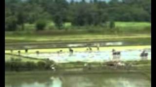 My Native Land Karenni