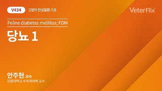 [베터플릭스][고양이 만성질환 기초] 당뇨1(Feline diabetes mellitus; FDM)