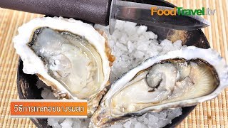 วิธีการแกะหอยนางรมสด Chucking Oyster | FoodTravel