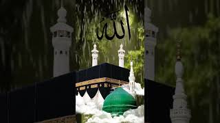 Muhammad Nabi❤️❤️ #allah #muhammad #islam #loveislam #islamivideo #makkah #madina