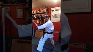 Battle Hill Karate Club Home Lesson One