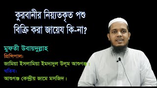 কুরবানীর নিয়্যতকৃত পশু বিক্রি করা জায়েয কি না?।মুফতী উবায়দুল্লাহ