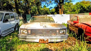 Last Year To Get A 3 On The Tree? 1979 Chevy Nova Junkyard Find