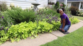 August Garden Maintenance | Garden Chores | GARDEN ADDICTZ