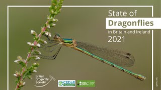 State of Dragonflies in Britain and Ireland 2021 report summary by Dave Smallshire