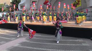 スーパーよさこい(2019/8/24)「SummerZipper」