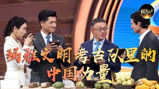 中国考古学家竟然在玛雅遗址发现“龙”？中国和洪都拉斯合作考古，用不同的声音讲述玛雅文明之美 | 丝路之声