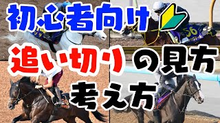 【追い切り・調教 2022】競馬初心者でも簡単に覚えられる　追い切りの見方・考え方講座（実践つき）