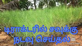 #டிராக்டரில் சவுக்கு நடவு செய்தல்/#casuarina plantation with tractor in tamil/#pudumai vivasaye